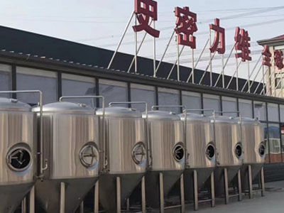 贵池精酿啤酒设备厂—市场规模与跨界新需求